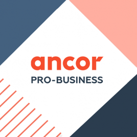 ANCOR Pro Business: Employer's brand image. What is it and why is it important?
